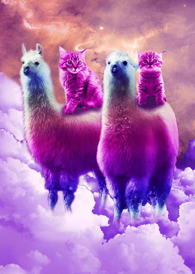 Cat Riding Rainbow Llama