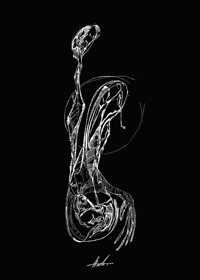 Born