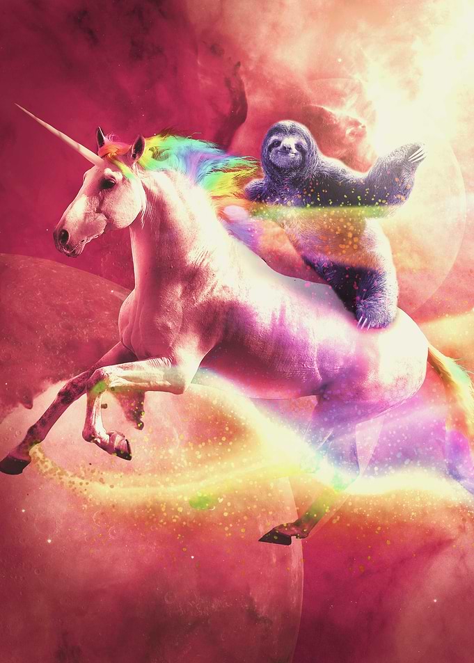 Space Sloth Riding Unicorn
