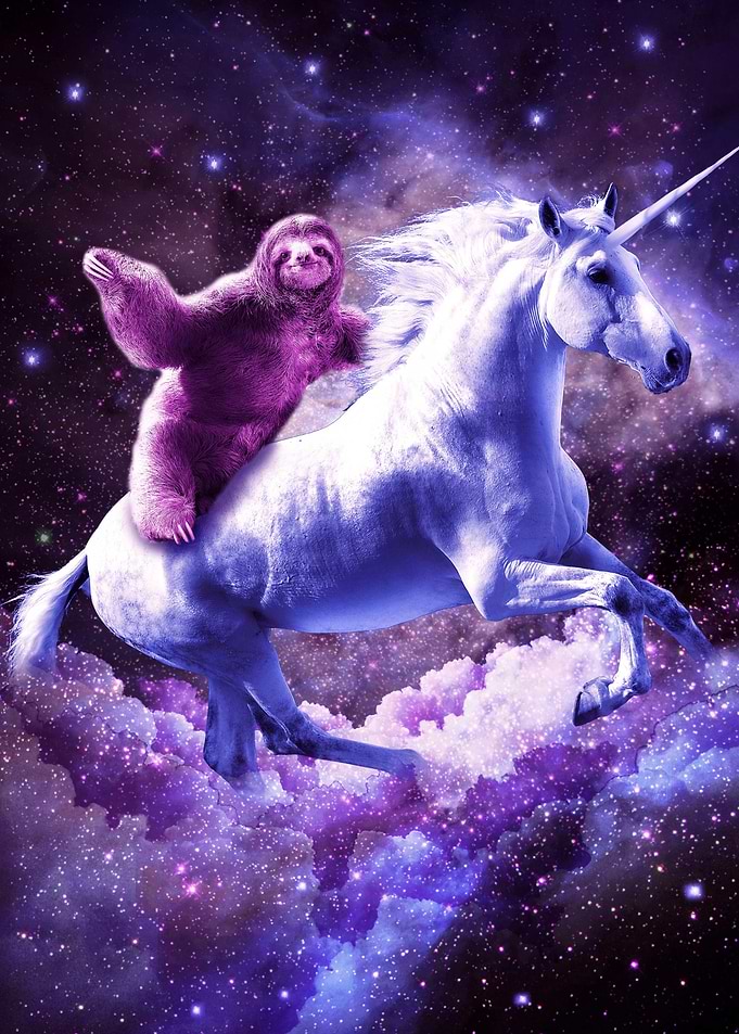 Space Sloth Riding Unicorn