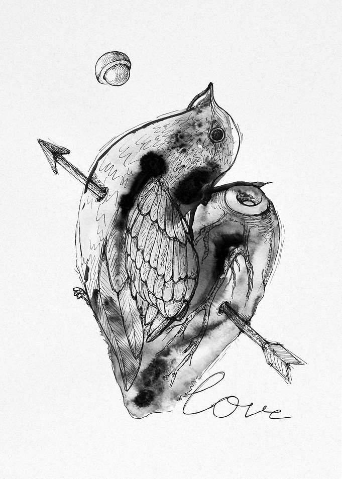 Love is a bird