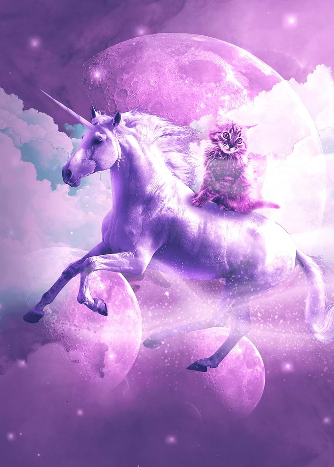 Kitty Cat Riding Unicorn