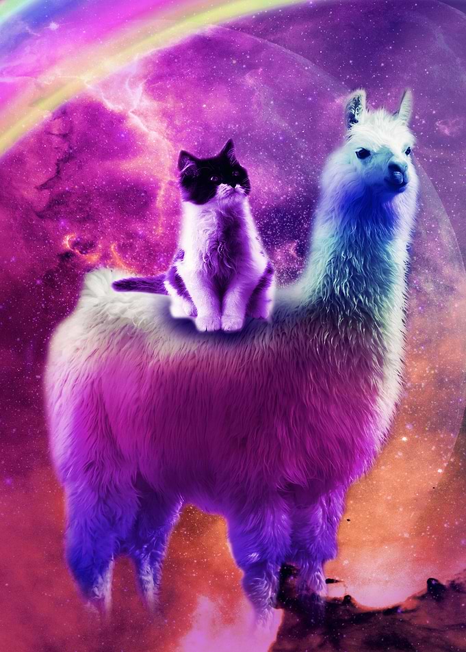 Cat Riding Rainbow Llama