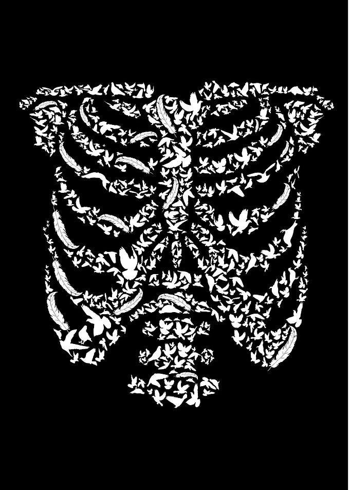 Ribcage Bird
