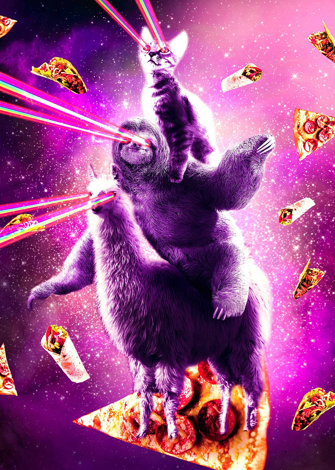 Space Cat Sloth Llama