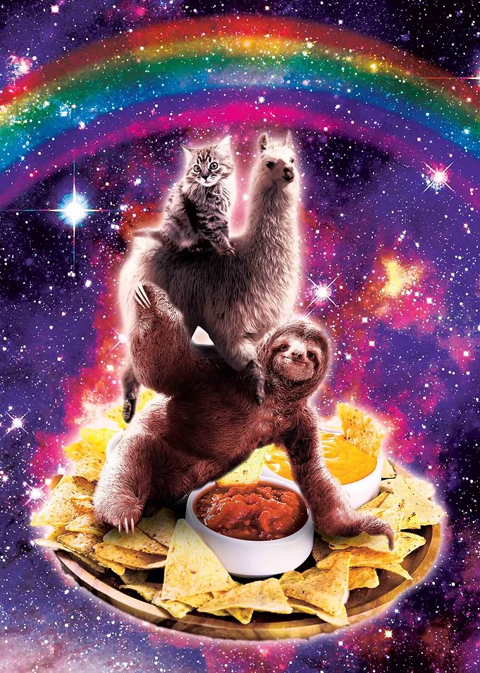 Cat Llama Sloth Nachos