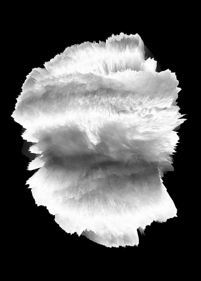 PRINTBW03