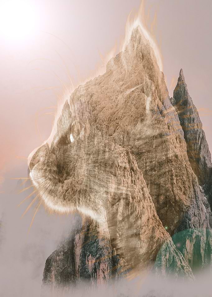 Fire Meowntain