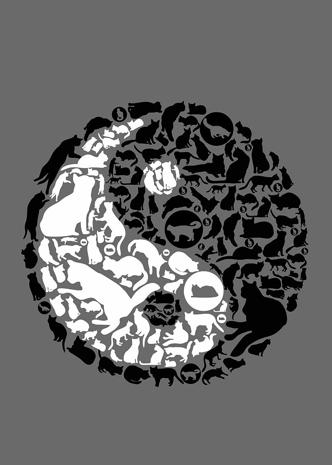 YinYang Cats