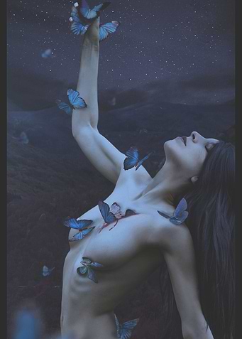 The Sacrificed Dreams