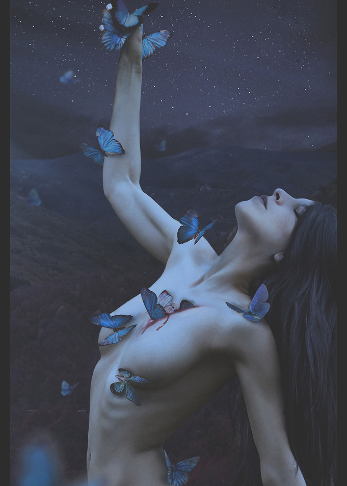 The Sacrificed Dreams