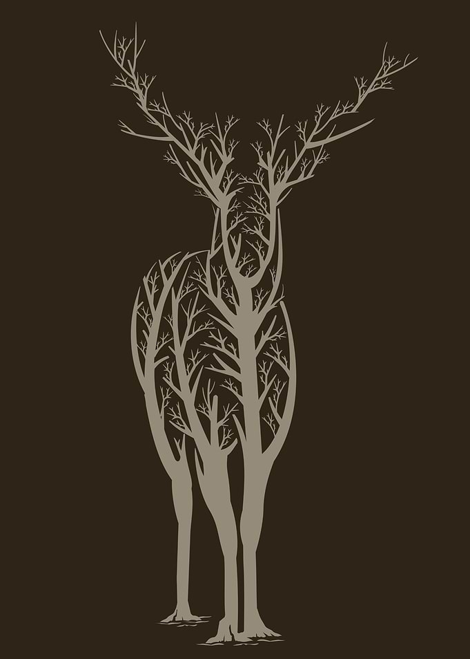 Deer 2