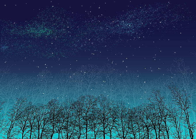 Blue Night
