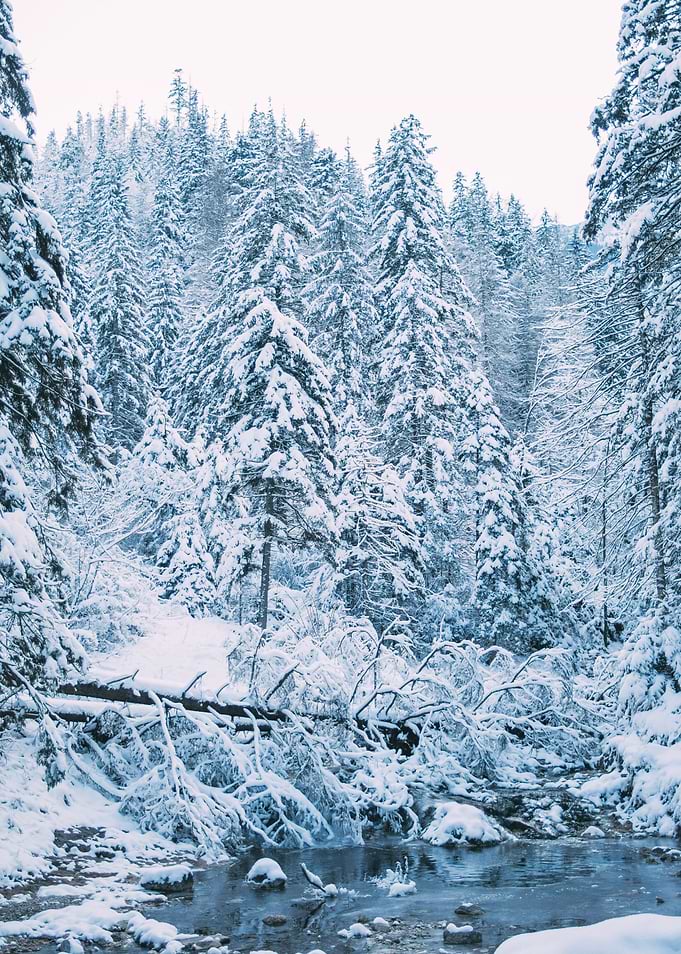 Blue Snow River