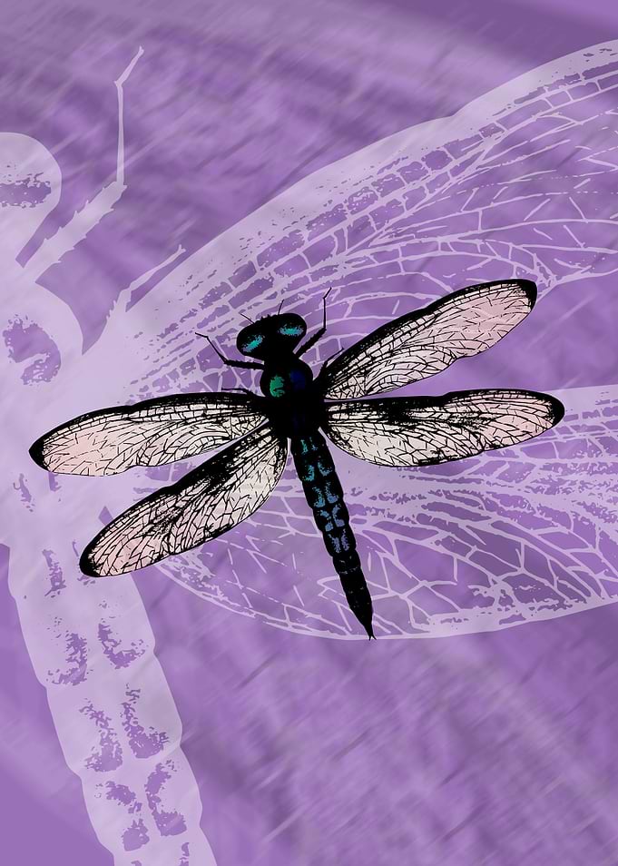 Blue dragonfly vector