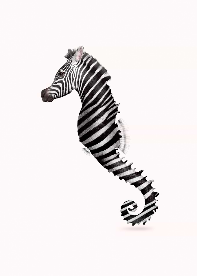 Zeahorse