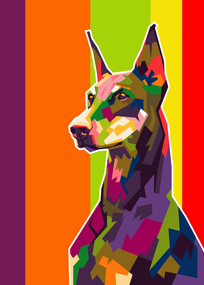 Doberman Pinscher