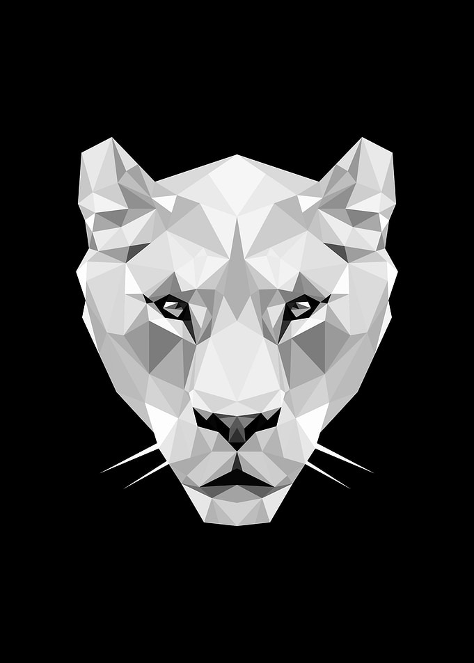 head of lioness
