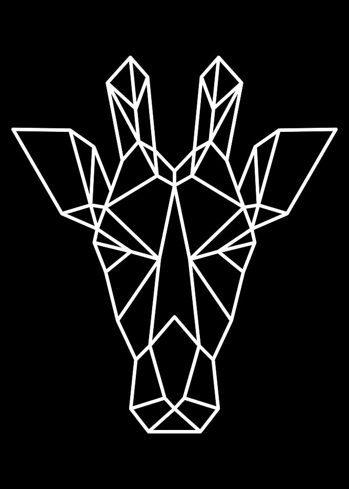Giraffe White
