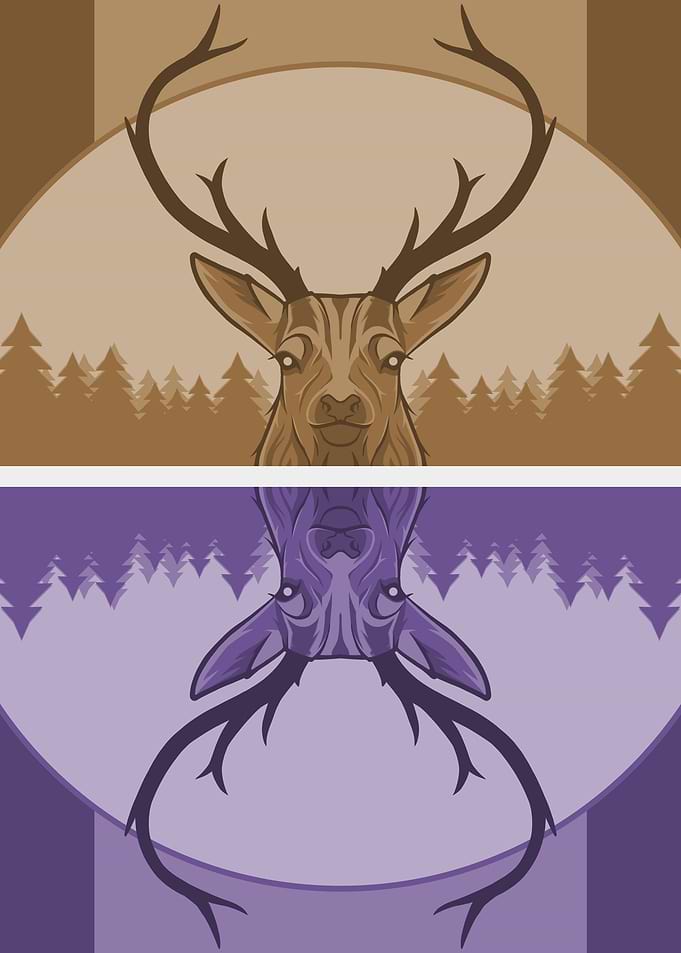 Stag Reflection