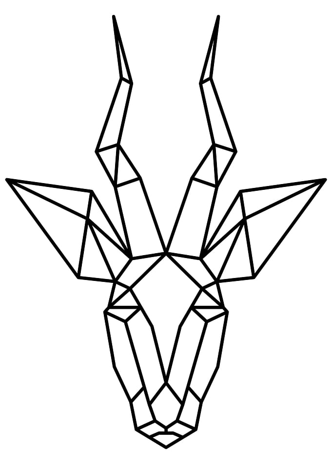 Antelope Black