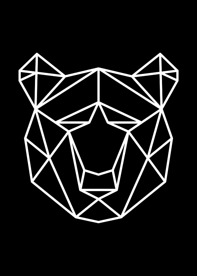 Bear White