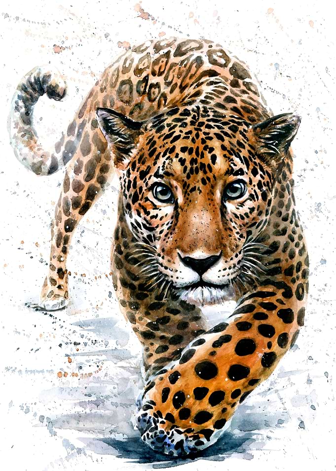 Jaguar