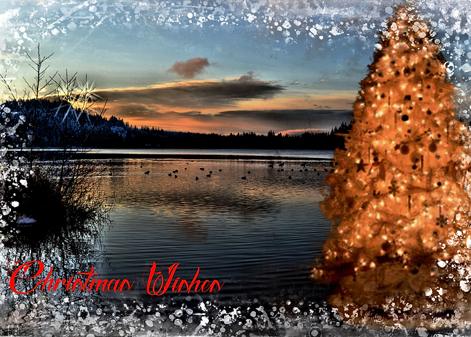 Christmas Freeze 6