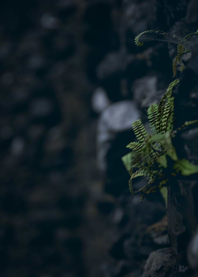 HIdden Treasure