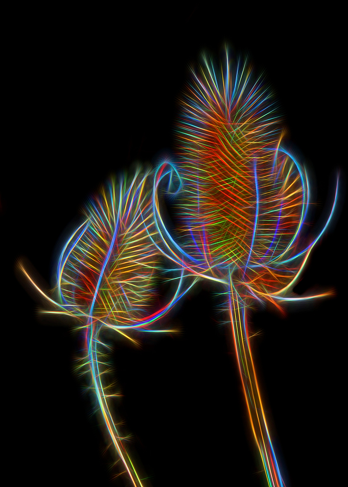 Twisted Sista