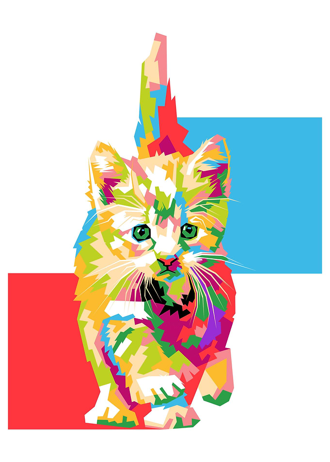 Cute Cat
