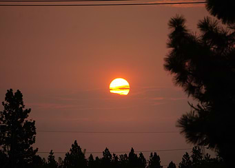 Fire Sunrise