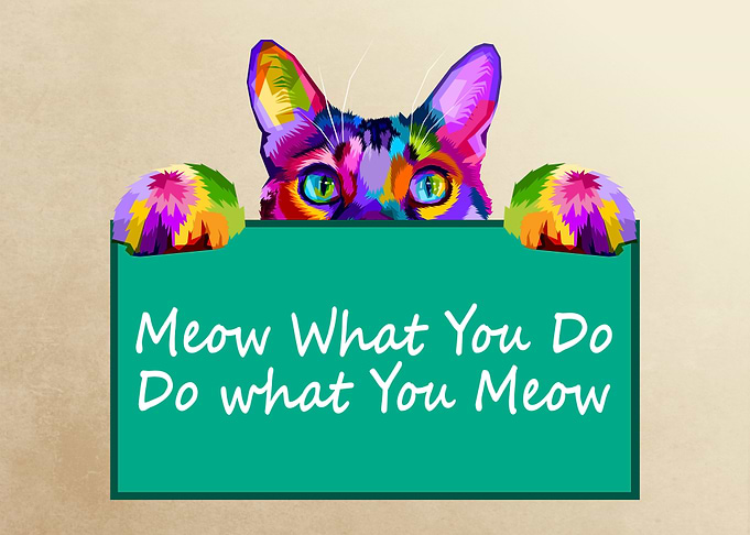 cat with sign quote