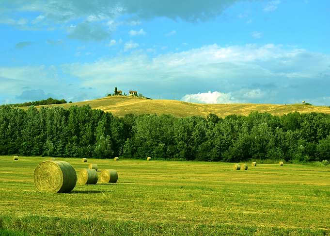Hay Bales