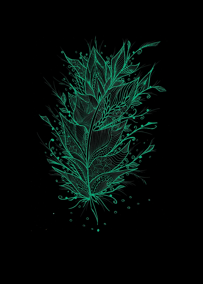 Mystical Turquoise Feather