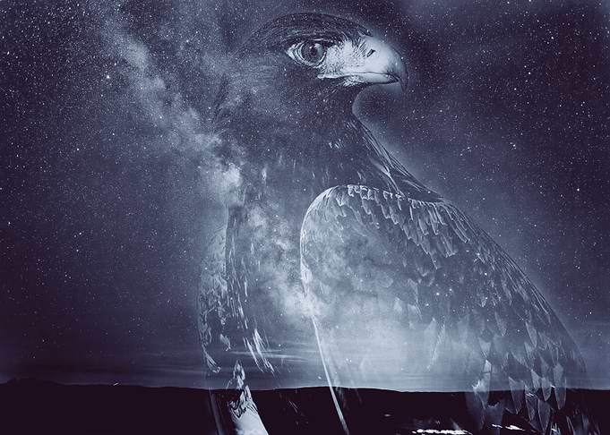 Eagle in stars