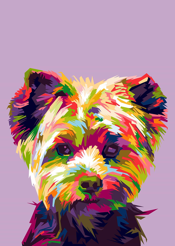 Shih Tzu Dog