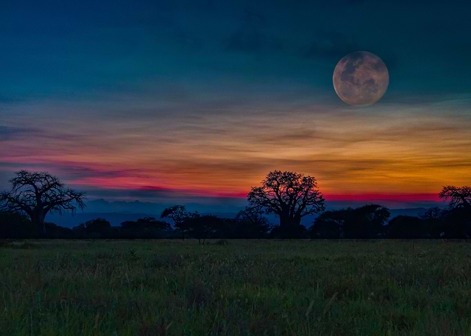 Magical moonrise