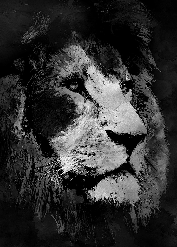 Heart of a Lion