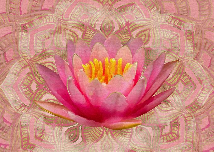 Lotus Flower