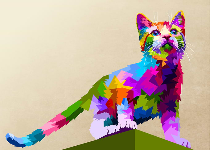 cute cat standing on top