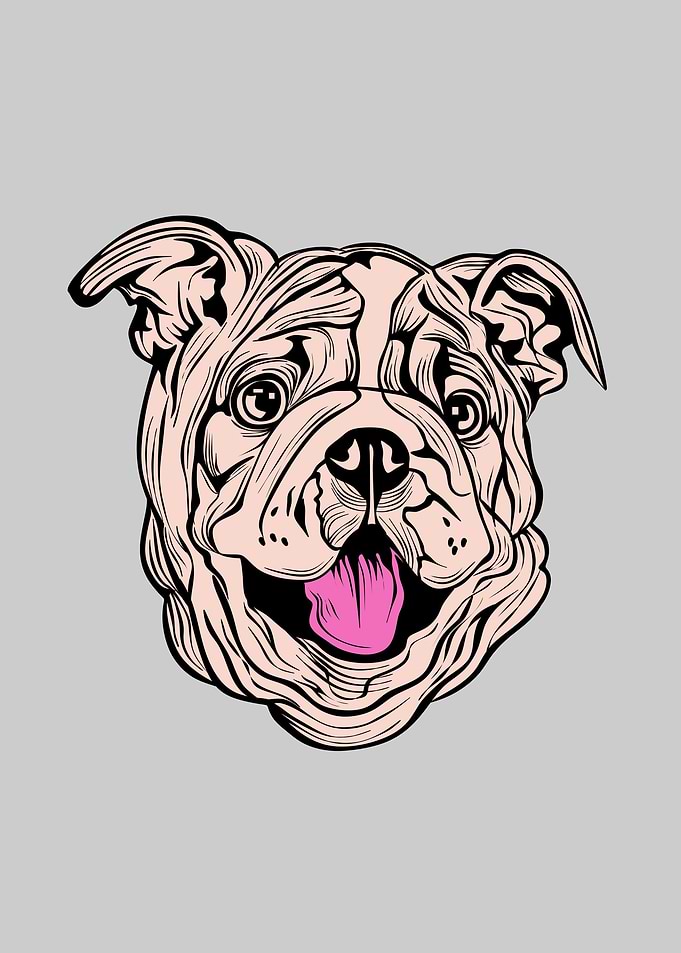 bulldog cartoon