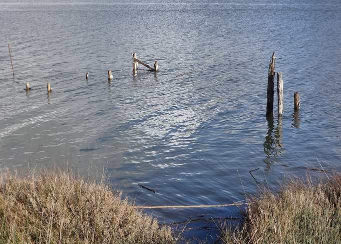 Lagoon
