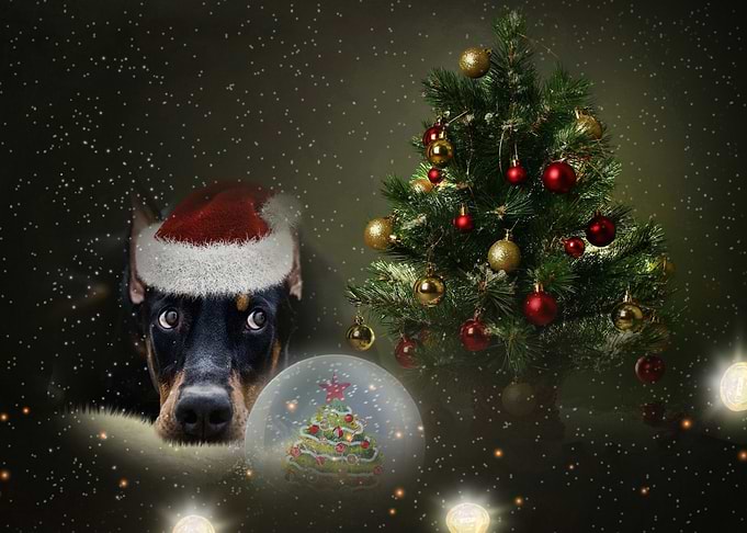 Christmas time