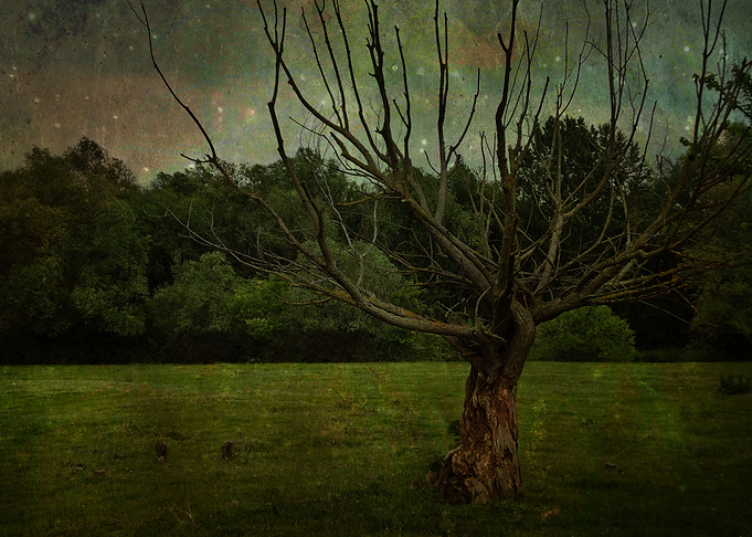 Twilight