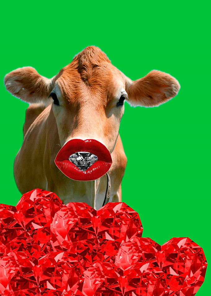 cow fashion