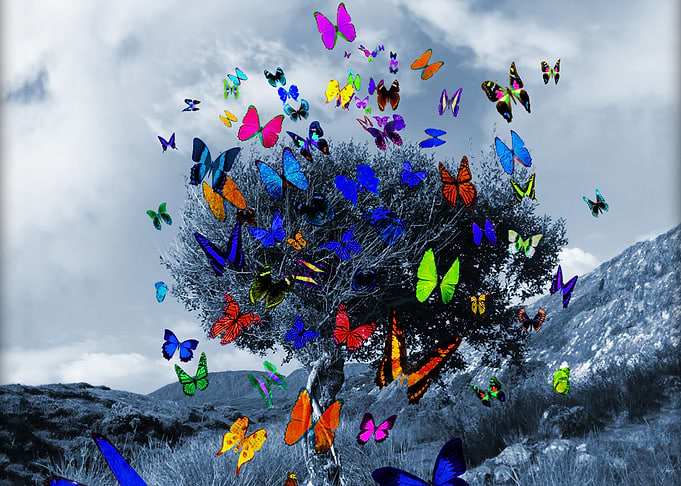 Butterfly tree blues