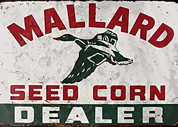 Mallard vintage
