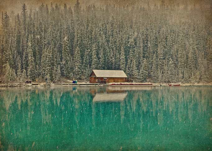 Forest and Lake
