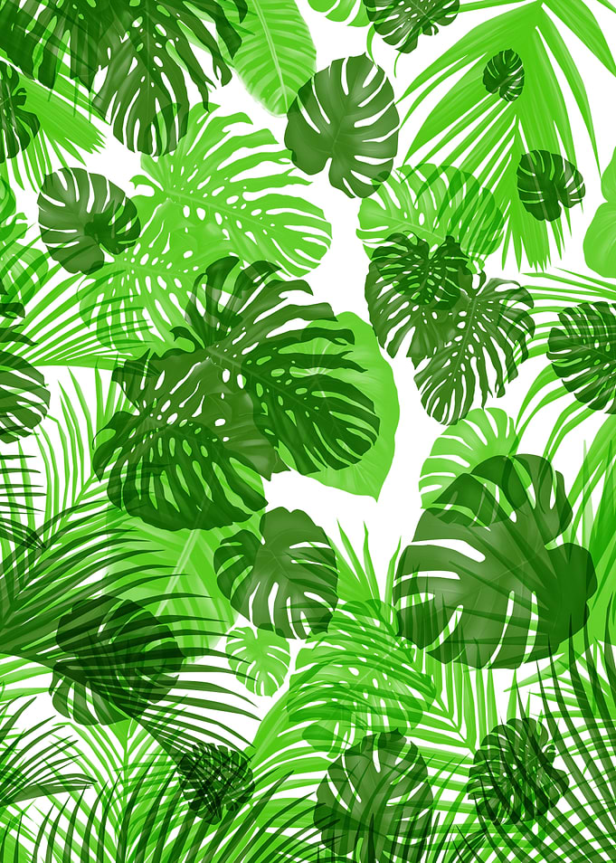 palm monstera pattern